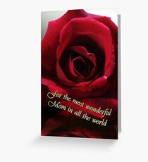red rose for mother's day Greeting Card
