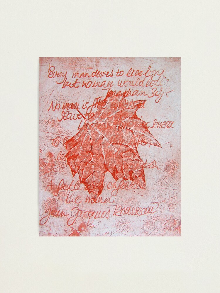 Alternate view of Leafy Wisdom (I) Photographic Print
