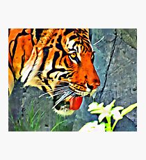 SIBERIAN TIGER DIGITAL PAINTING Photographic Print