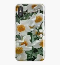 Daffodils iPhone Case/Skin