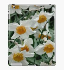 Daffodils iPad Case/Skin