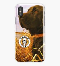 Black Lab in Reeds - Mallard Down iPhone Case