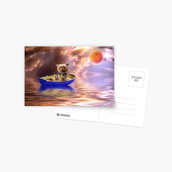 Surprise Package Postcard