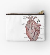 Subclavian Arterienschaukel Täschchen