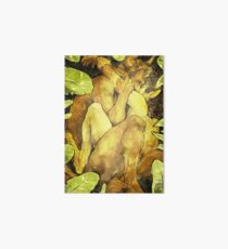 The Satyr and the Bull Art Board