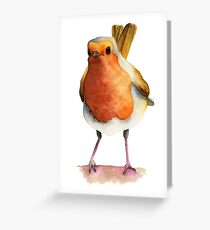 Robin Bird Watercolor Painting Greeting Card