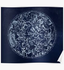 Vintage Constellations & Astrological Signs | White Poster