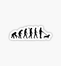 Evolution Dachshund Sticker