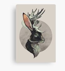 Jackalope Canvas Print