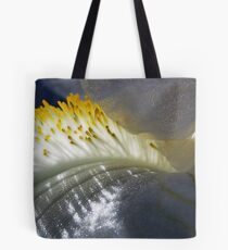 Soft Brush Tote Bag