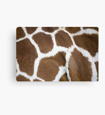 Giraffe Canvas Print
