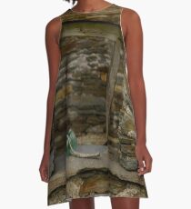 Power in the Ruin A-Line Dress