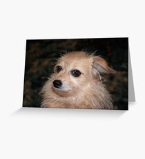 Precious Greeting Card