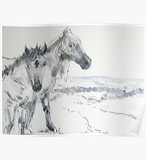 Wild Horses Drawing Poster