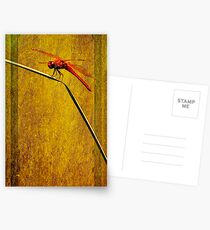 Flame Skimmer Postkarten