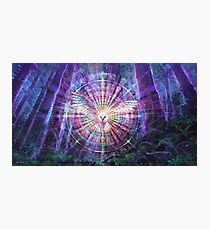 Night Vision Photographic Print