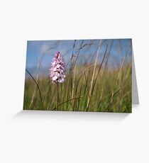 Spotted Orchid, Portnoo, Co. Donegal Greeting Card