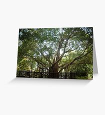 Where Life Begins Greeting Card