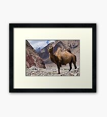 Gateway to the Karakoram Highway Framed Print
