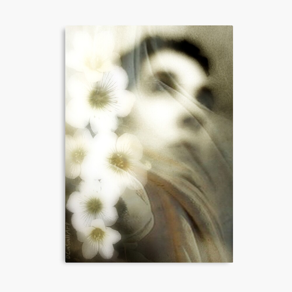 Between two gardens Canvas Print