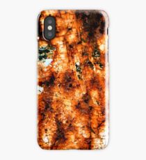 Decay iPhone Case/Skin
