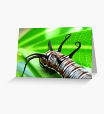 riding the freight train Greeting Card