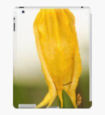 Yellow Flower and Insect iPad Case/Skin