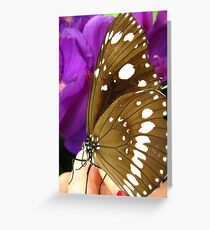 stuck on you Greeting Card