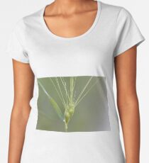 Ovate goatgrass (Aegilops geniculata) Women's Premium T-Shirt