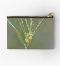 Ovate goatgrass (Aegilops geniculata) Studio Pouch