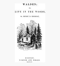walden Photographic Print