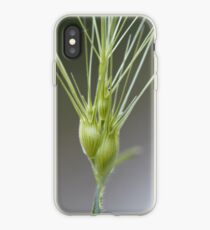 Ovate goatgrass (Aegilops geniculata) iPhone Case