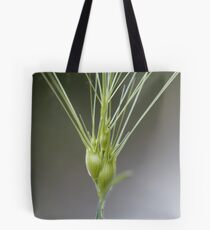 Ovate goatgrass (Aegilops geniculata) Tote Bag