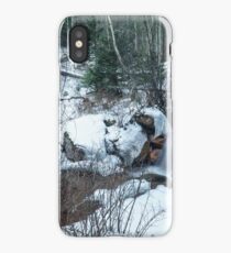 Snow Scene iPhone Case/Skin