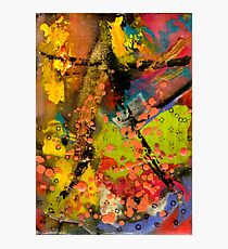 Feeling Free Photographic Print