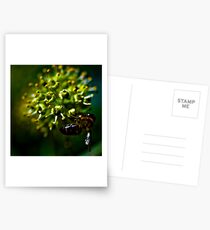 Polen Polen Postcards