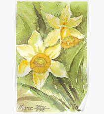 Golden Daffodils Poster