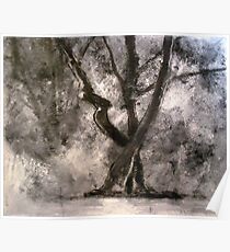 Trees Poster