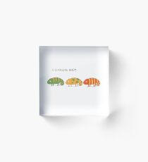 changing chameleon Acrylic Block