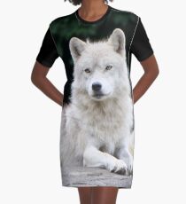 Leader of the pack Graphic T-Shirt Dress
