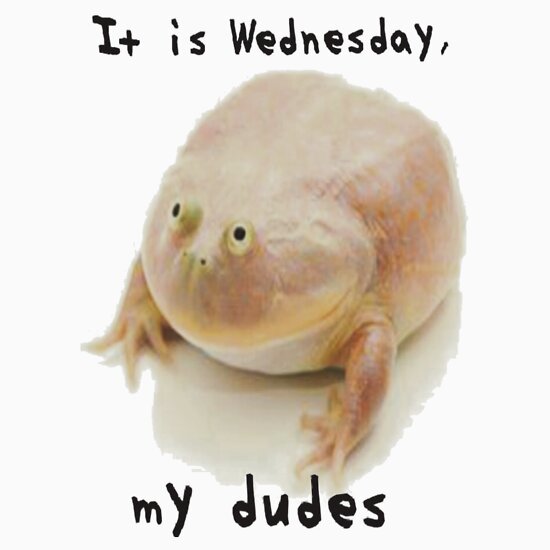 it is wednesday my dudes shirt