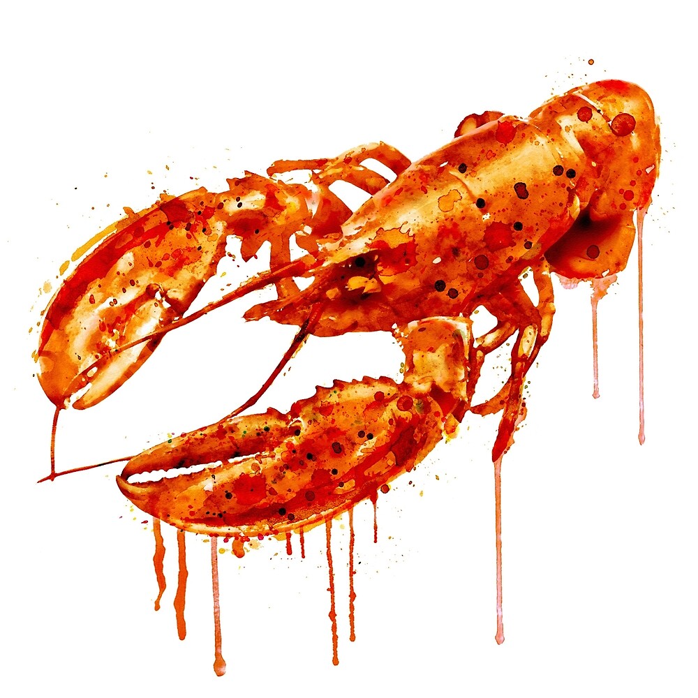 "Crayfish watercolor painting" by Marian Voicu Redbubble