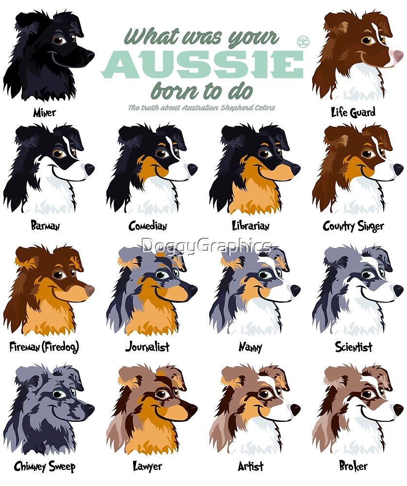 "Aussie Colors*" by DoggyGraphics Redbubble