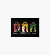 Sierra Madre Triptych Art Board
