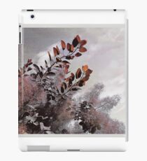 Below the sky iPad Case/Skin