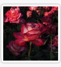 Roses Sticker
