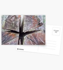 sawn Postcards