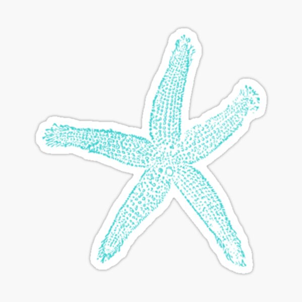 Starfish Stickers Redbubble