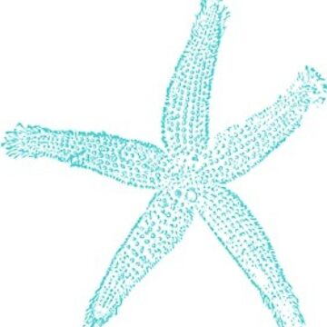Artwork thumbnail, starfish by mollysilverberg