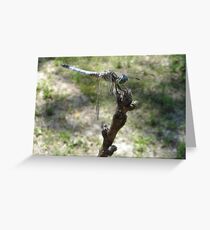 Blue Skimmer Number 2 Greeting Card